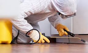 Real Estate Pest Inspections in Trumansburg, NY